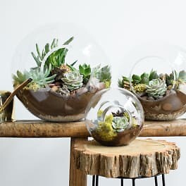 Custom Planters