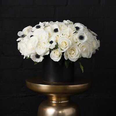 White Solace