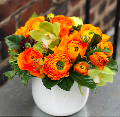 Simply Orange